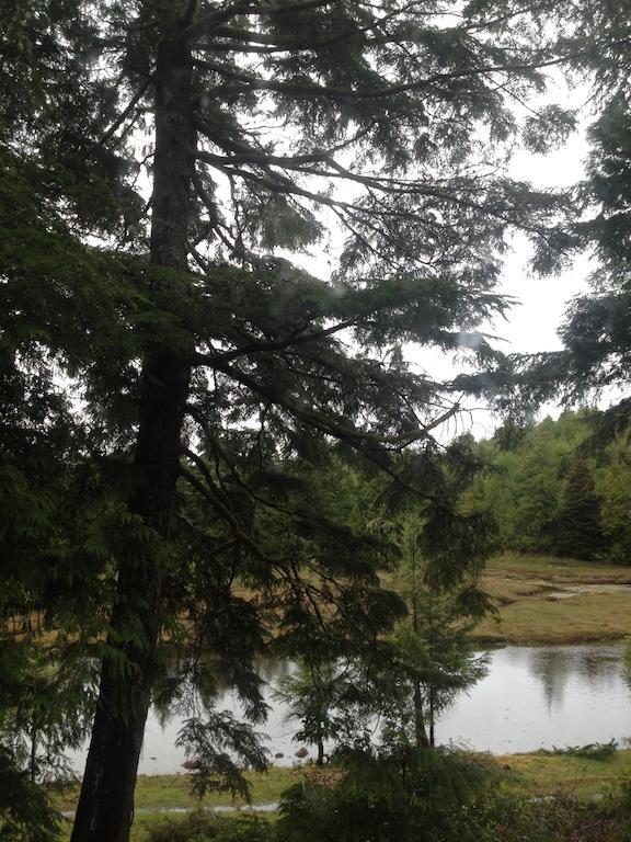 Hyphocus Inn Ucluelet Exteriör bild