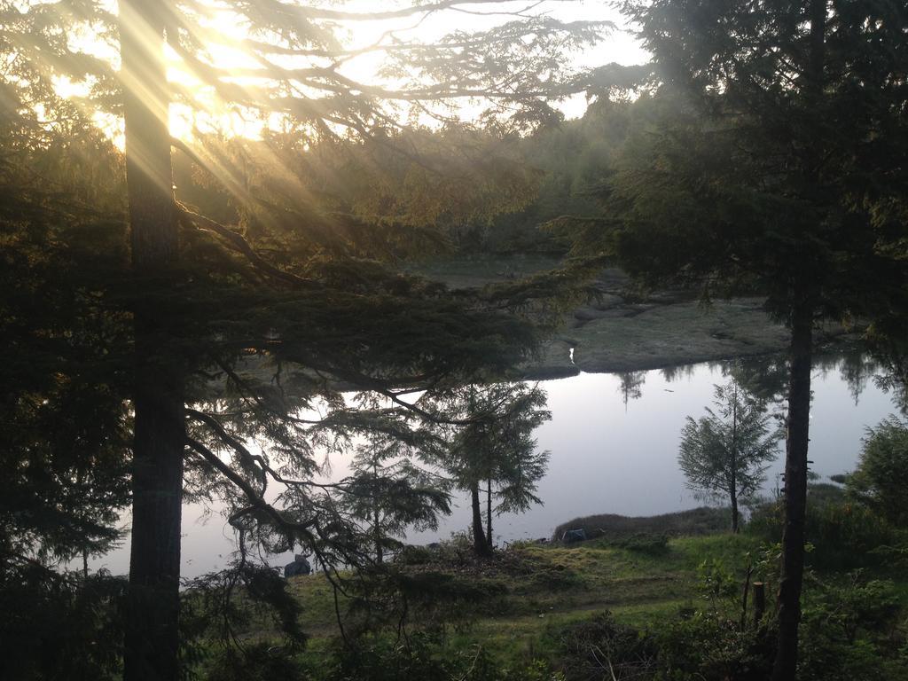 Hyphocus Inn Ucluelet Rum bild